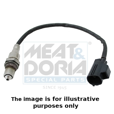 Oxygen Sensor
